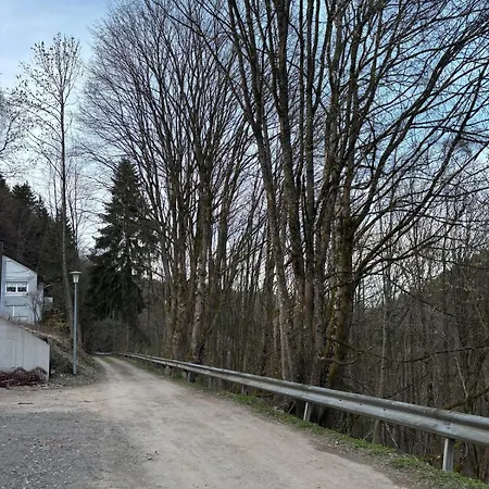 Schöne Nahe Zentrum, Skipiste, Eishalle Apartment *