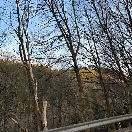 Schöne Nahe Zentrum, Skipiste, Eishalle * Willingen (Upland)